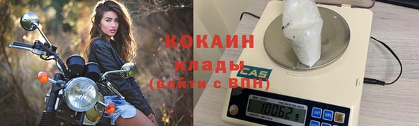сатива Каменногорск