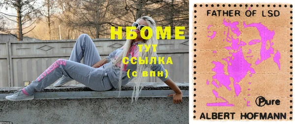 сатива Каменногорск