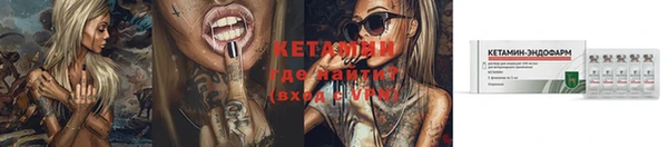 сатива Каменногорск