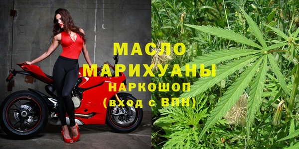 сатива Каменногорск