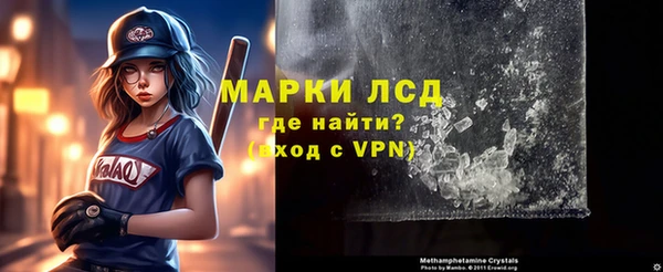 сатива Каменногорск
